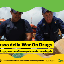 war on drugs onda verde